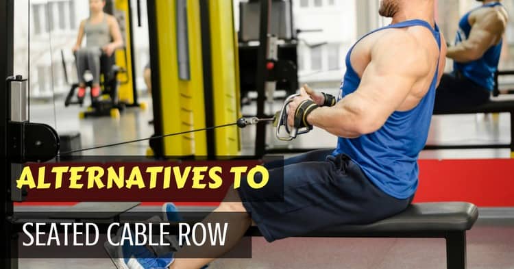 seated cable row alternatives