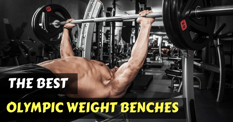 best-olympic-weight-benches