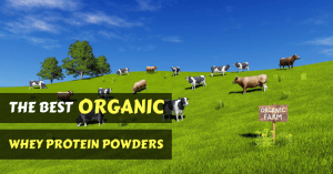 best-organic-whey-protein-powders