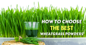 the best wheatgrass powders