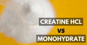 creatine hcl vs creatine monohydrate