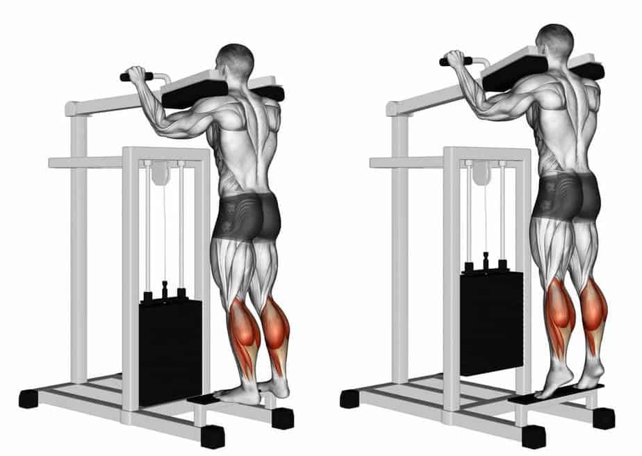 the-benefits-of-standing-calf-raises-and-how-to-do-them