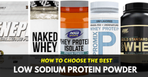 best low sodium protein powders
