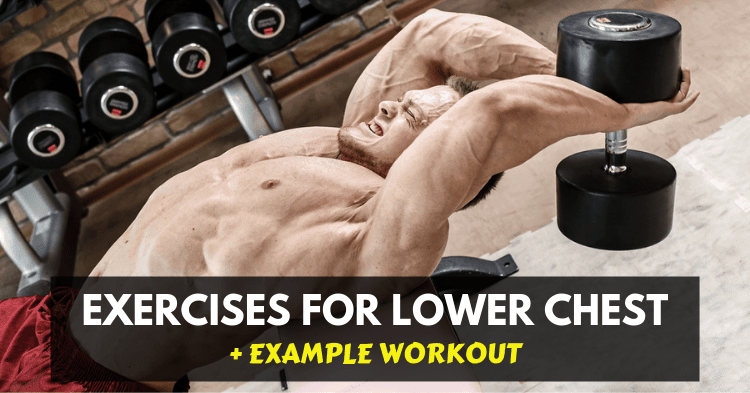 lower chest workout for huge pecs