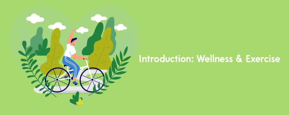 2. Introduction Wellness _ Exercise-01